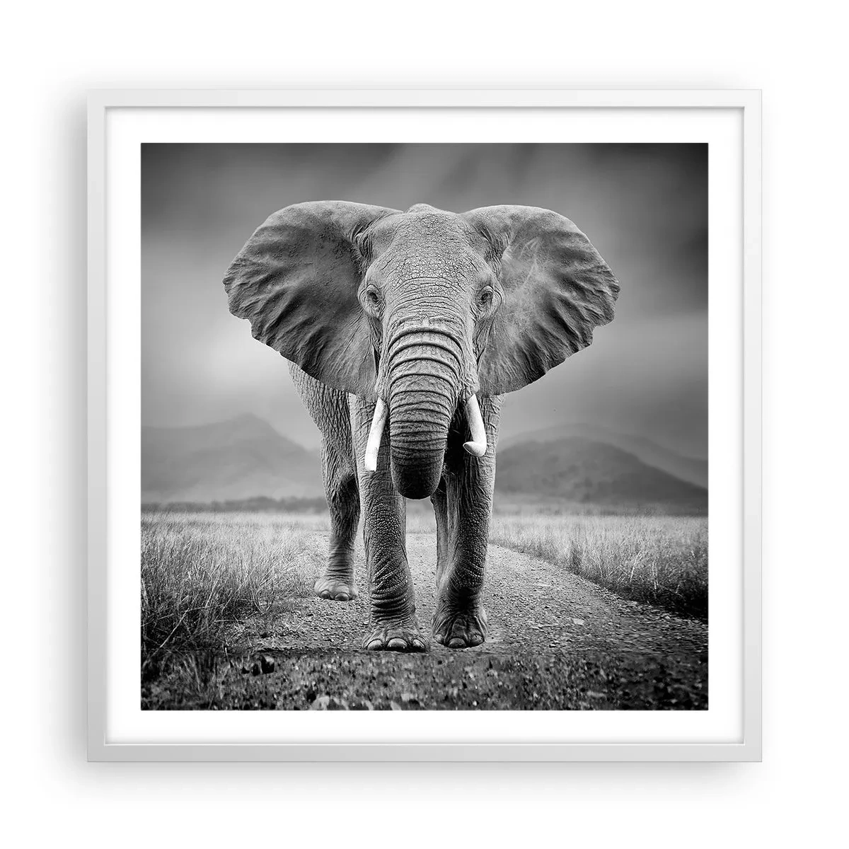 Poster în ramă albă - Gazda te salută - 60x60 cm