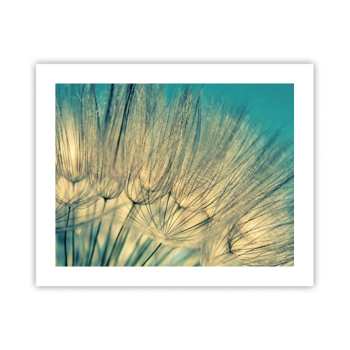 Poster - Așteptând vântul - 50x40 cm