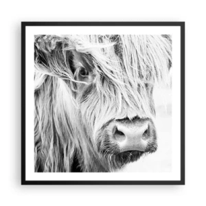 Poster în ramă neagră - Sălbăticie scoțiană - 60x60 cm