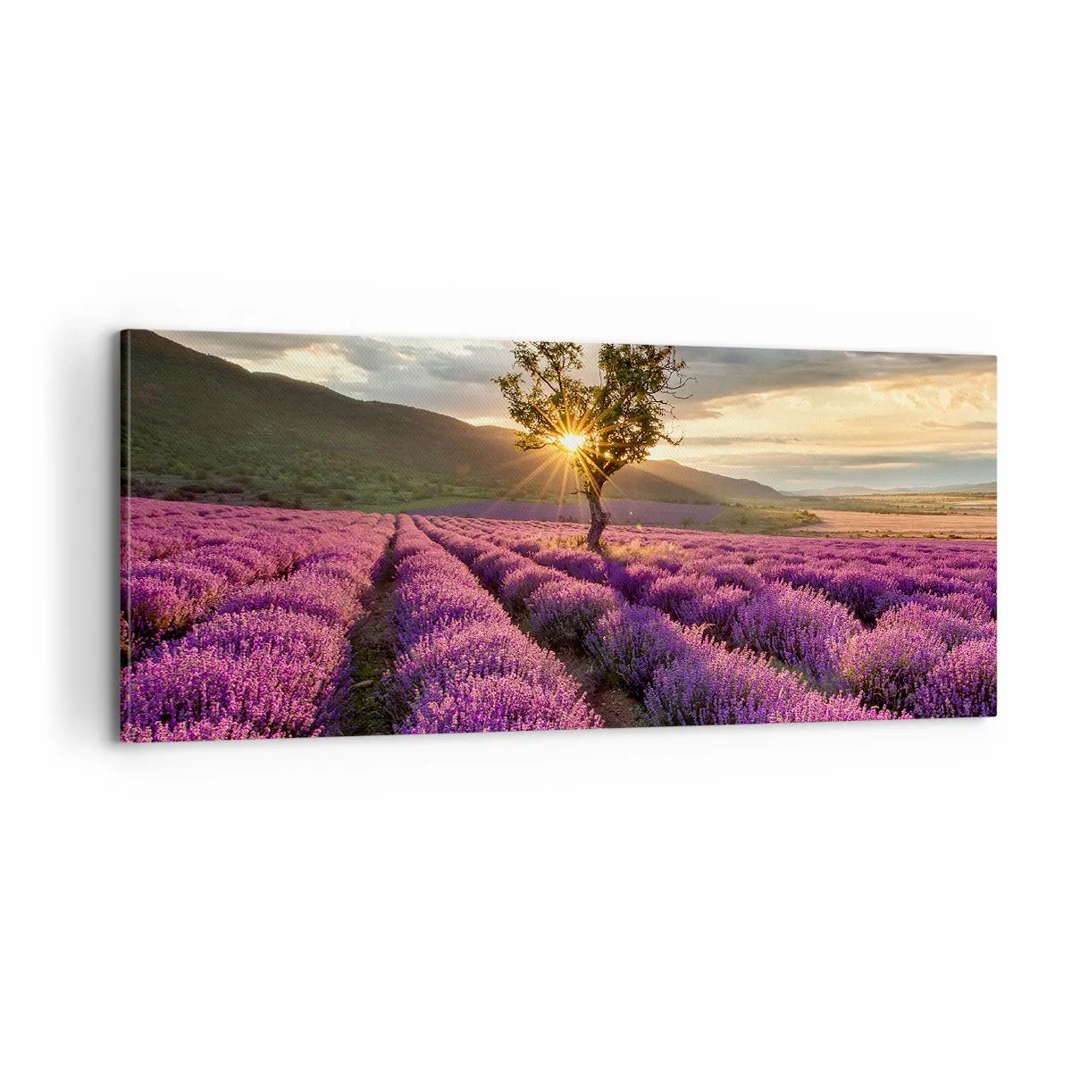Tablou pe pânză - Aroma în liliac - 100x40 cm