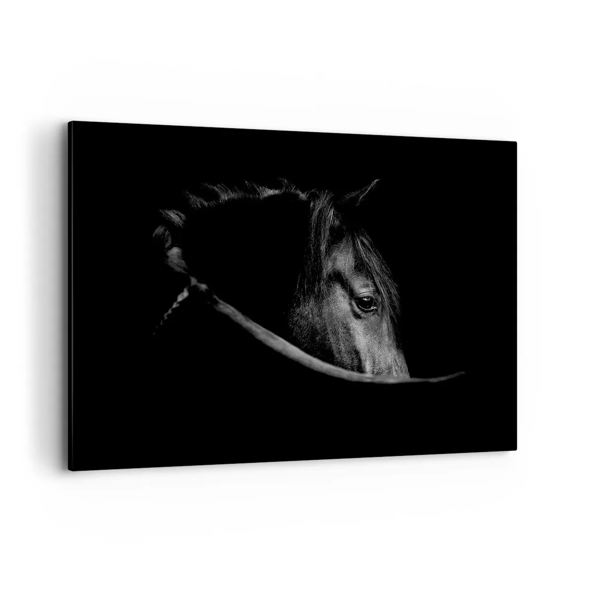 Tablou pe pânză - Prințul negru - 120x80 cm