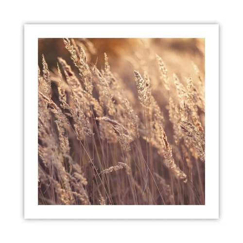 Poster - Gata să întâmpine toamna - 50x50 cm