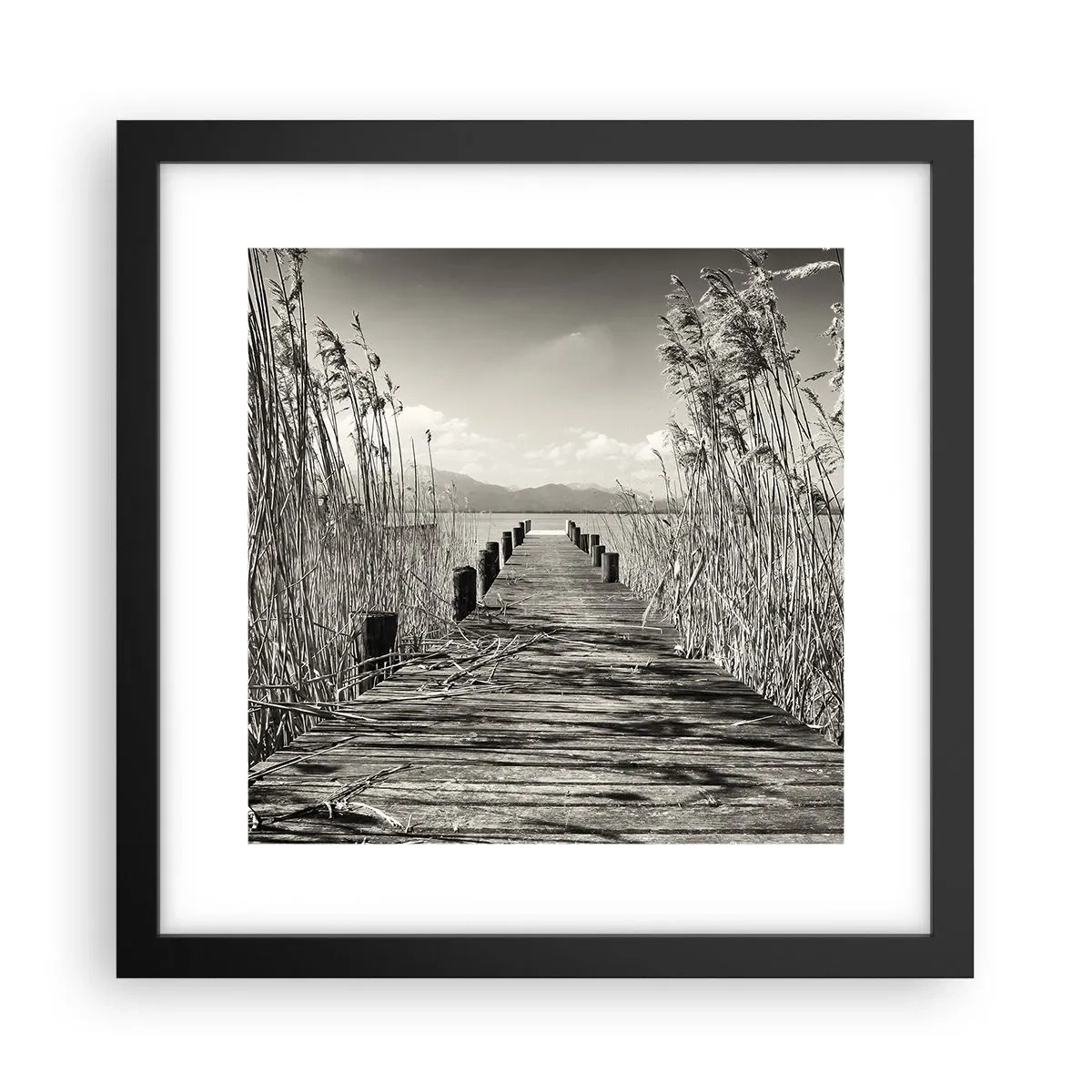 Poster în ramă neagră - În intimitatea ierburilor - 30x30 cm
