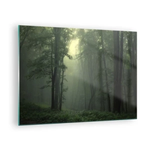 Tablou pe sticlă - O pădure întunecată învăluită în ceață cu raze de lumină - 70x50cm - Înainte să se trezească - Decorațiune modernă pentru perete pentru living și dormitor ARTTOR