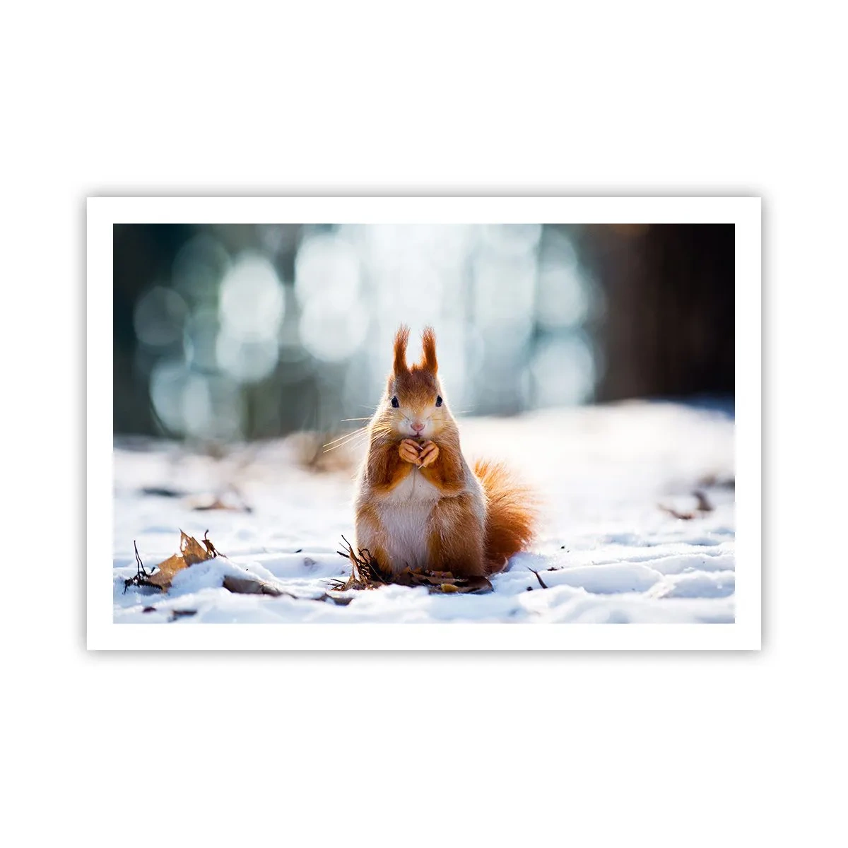 Poster - Și la ce te uiți? - 91x61 cm