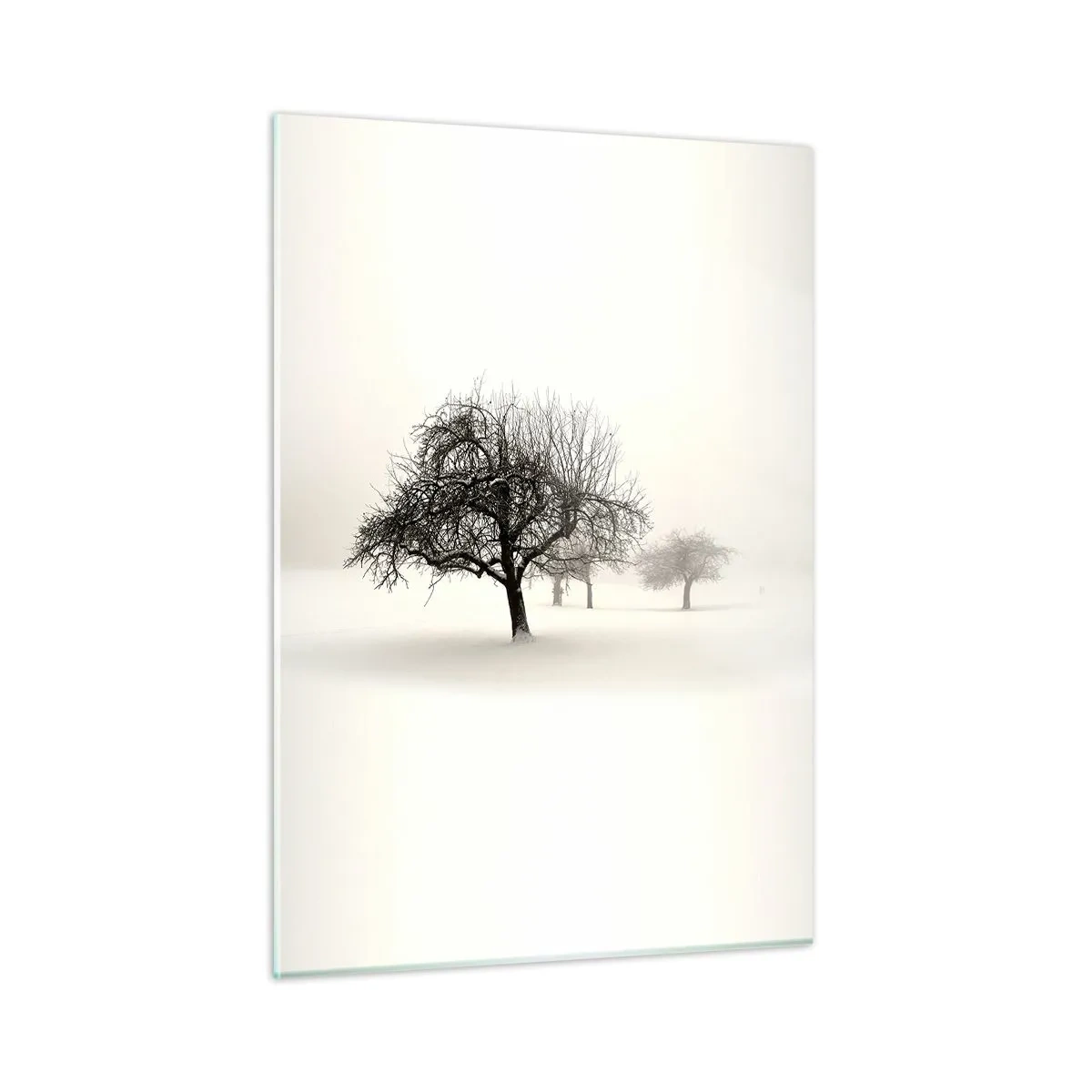 Tablou pe sticlă - Hibernare - 50x70 cm