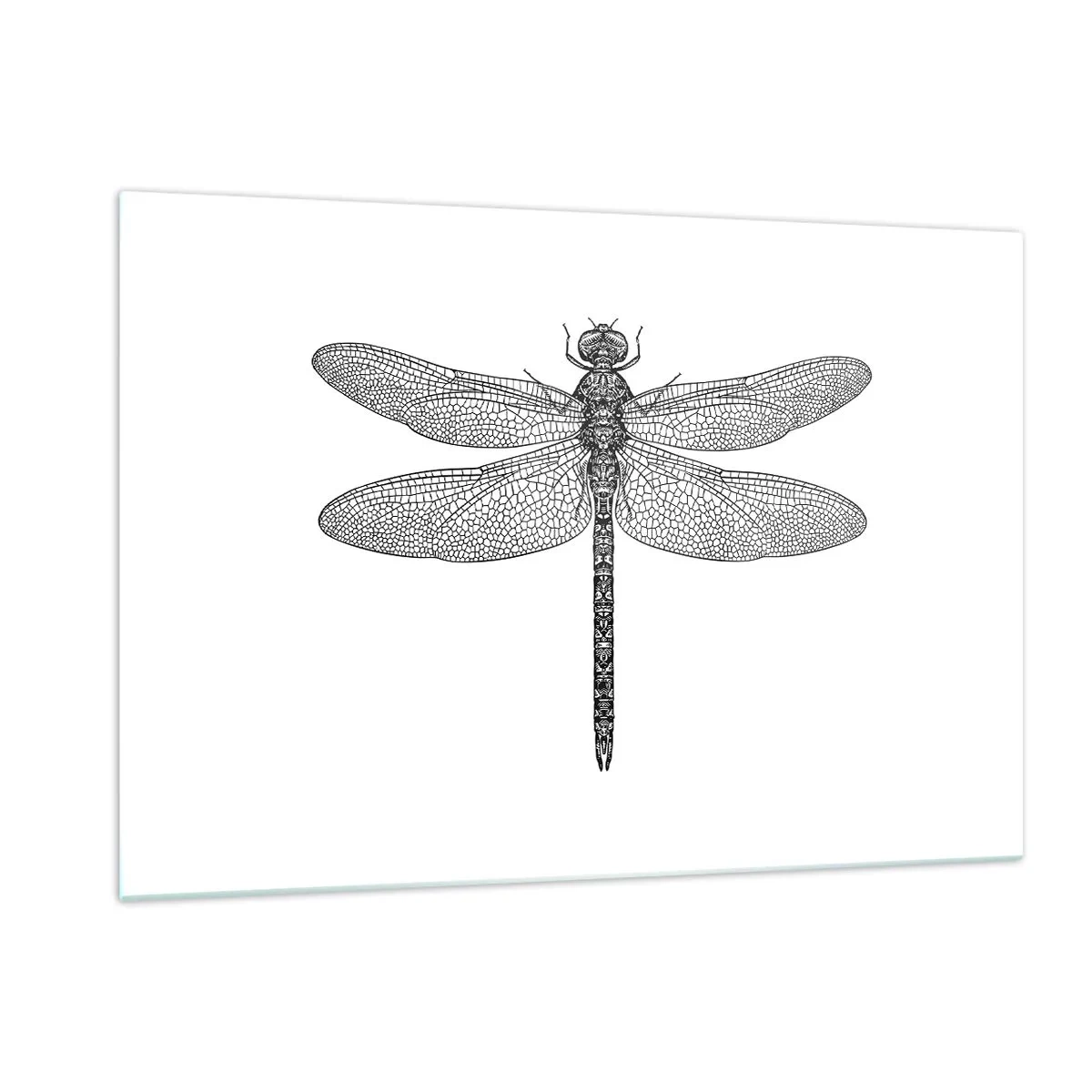 Tablou pe sticlă - Precizia naturii - 120x80 cm