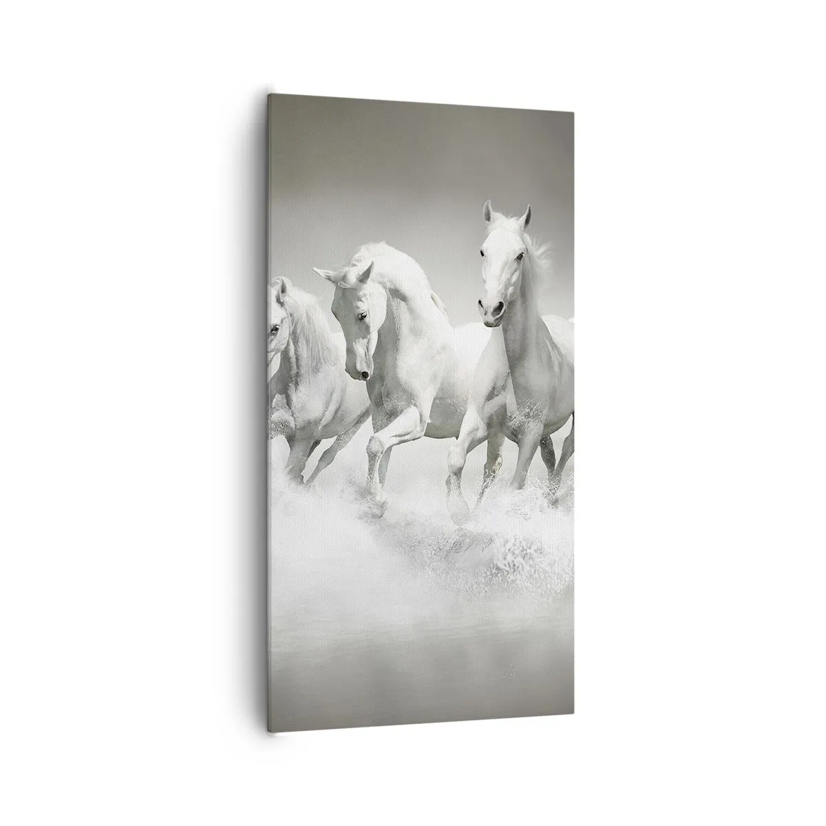 Tablou pe pânză - Nebunie albă - 65x120 cm