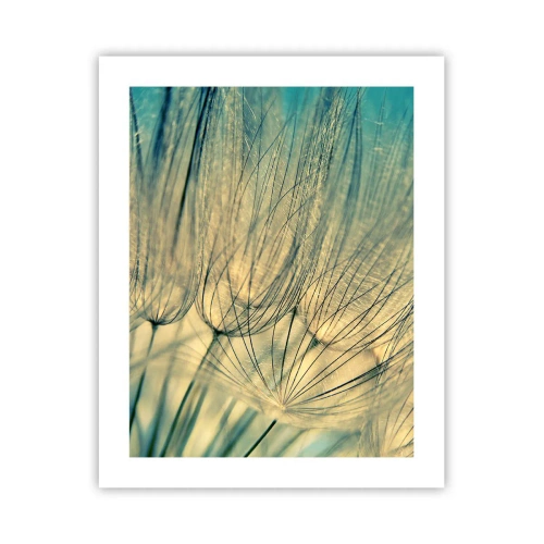 Poster - Așteptând vântul - 40x50 cm