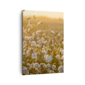 Tablou pe pânză - Câmp pufos - 50x70 cm