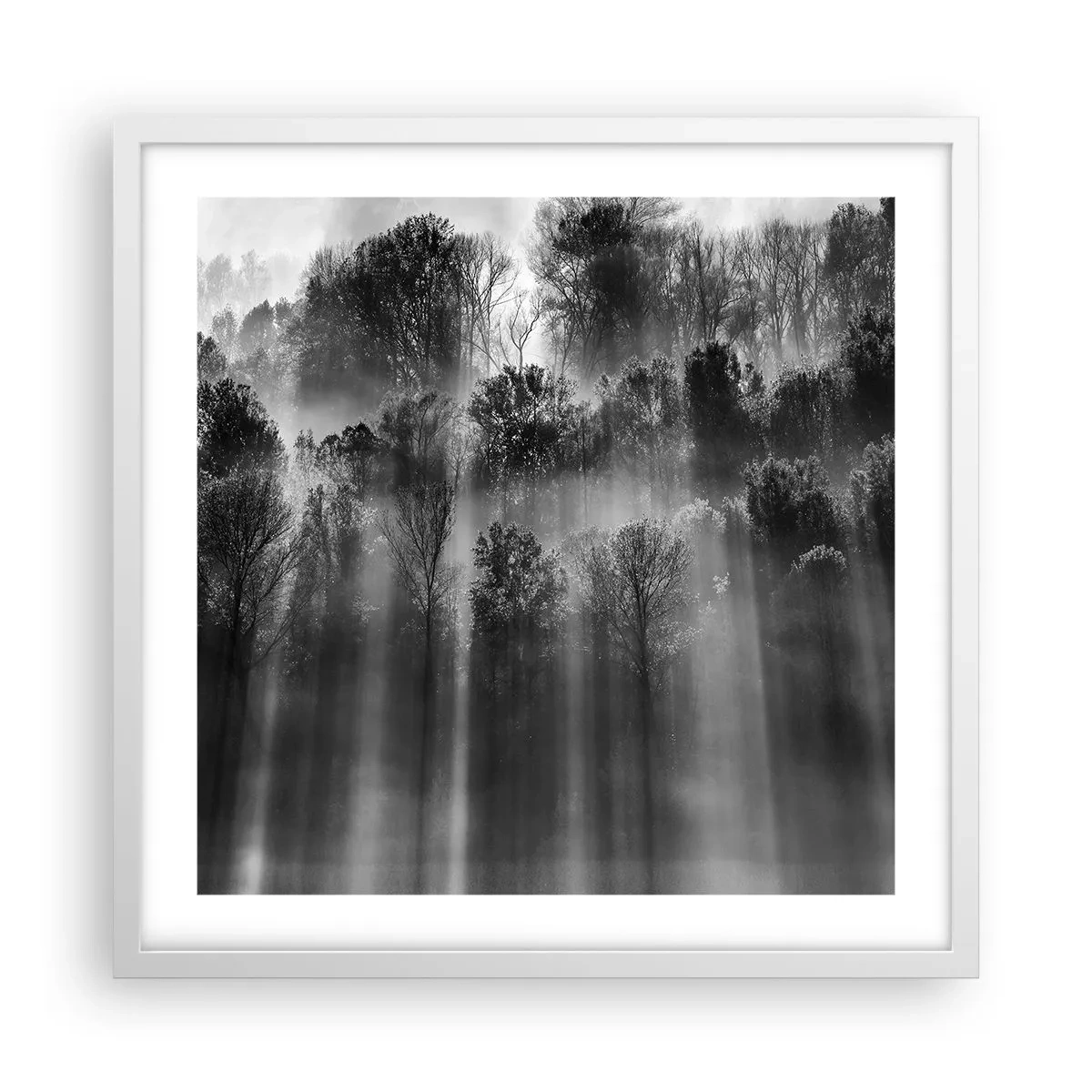 Poster în ramă albă - În fluxuri de lumină - 50x50 cm