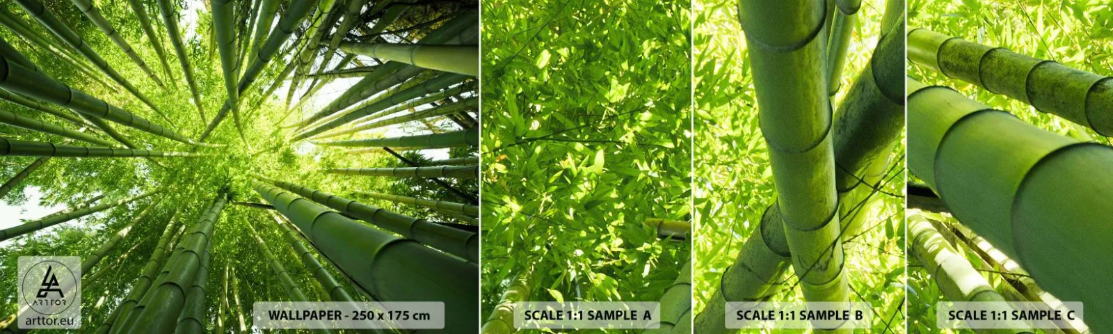 Mostră de Tapet Standard Eco - Într-o pădure de bambus - Pădure de bambus, Junglă, Bambus - 100x30 cm