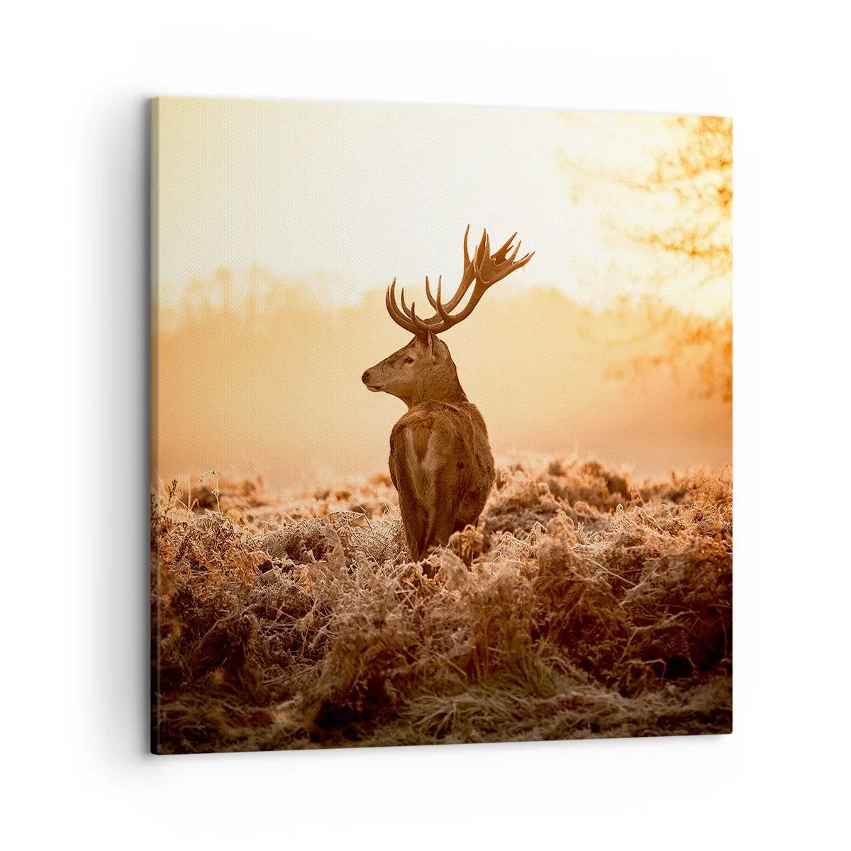 Tablou pe pânză - Stăpânul conacului - 50x50 cm