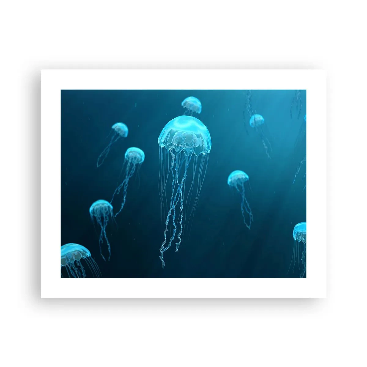 Poster - Dansul oceanic - 50x40 cm