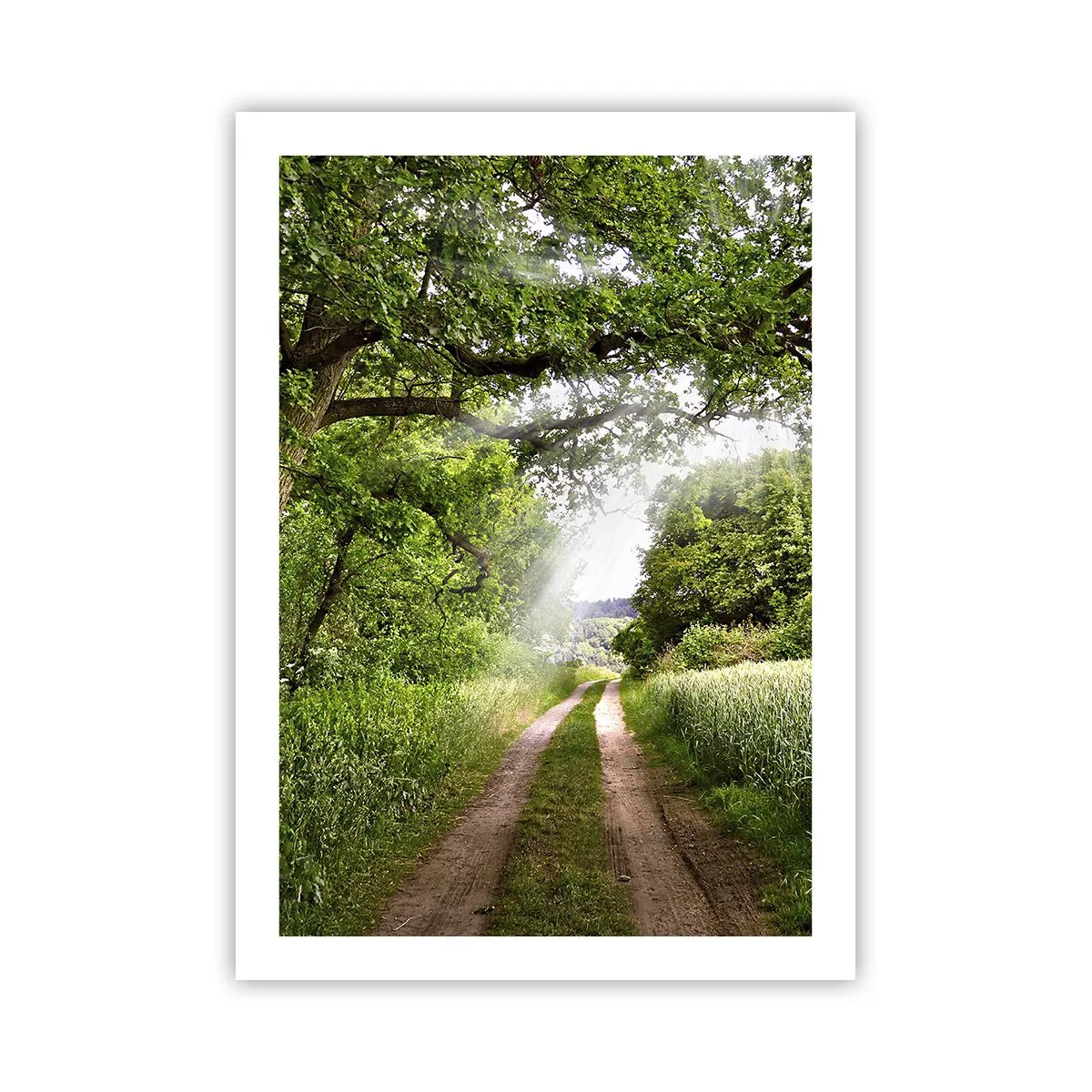 Poster - Et in Arcadia ego - 50x70 cm