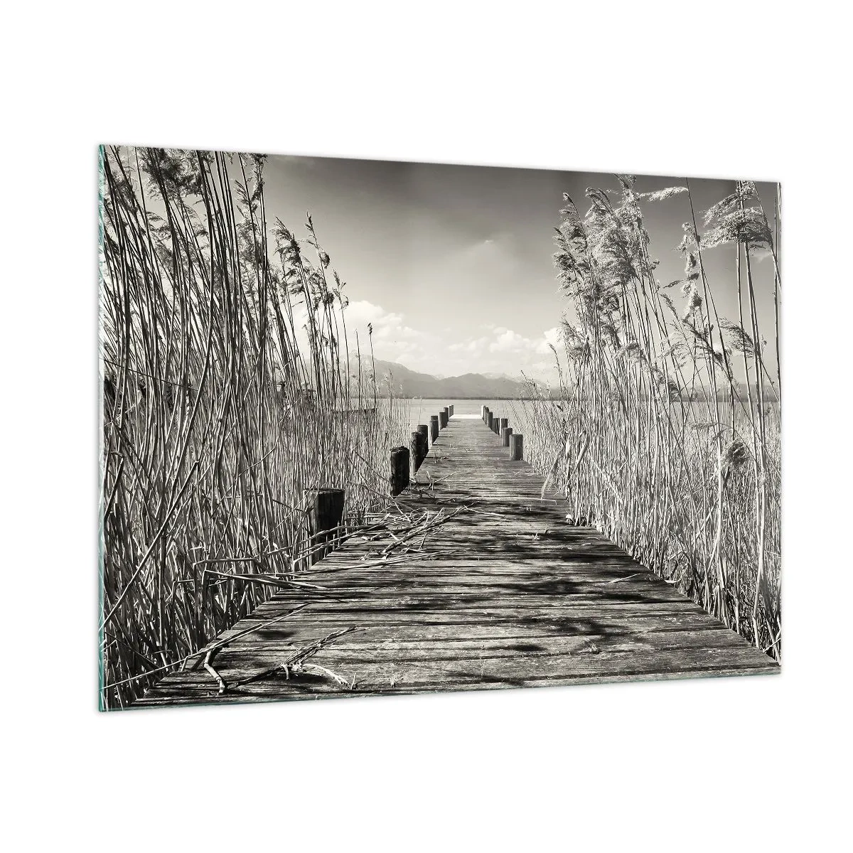 Tablou pe sticlă - În intimitatea ierburilor - 100x70 cm