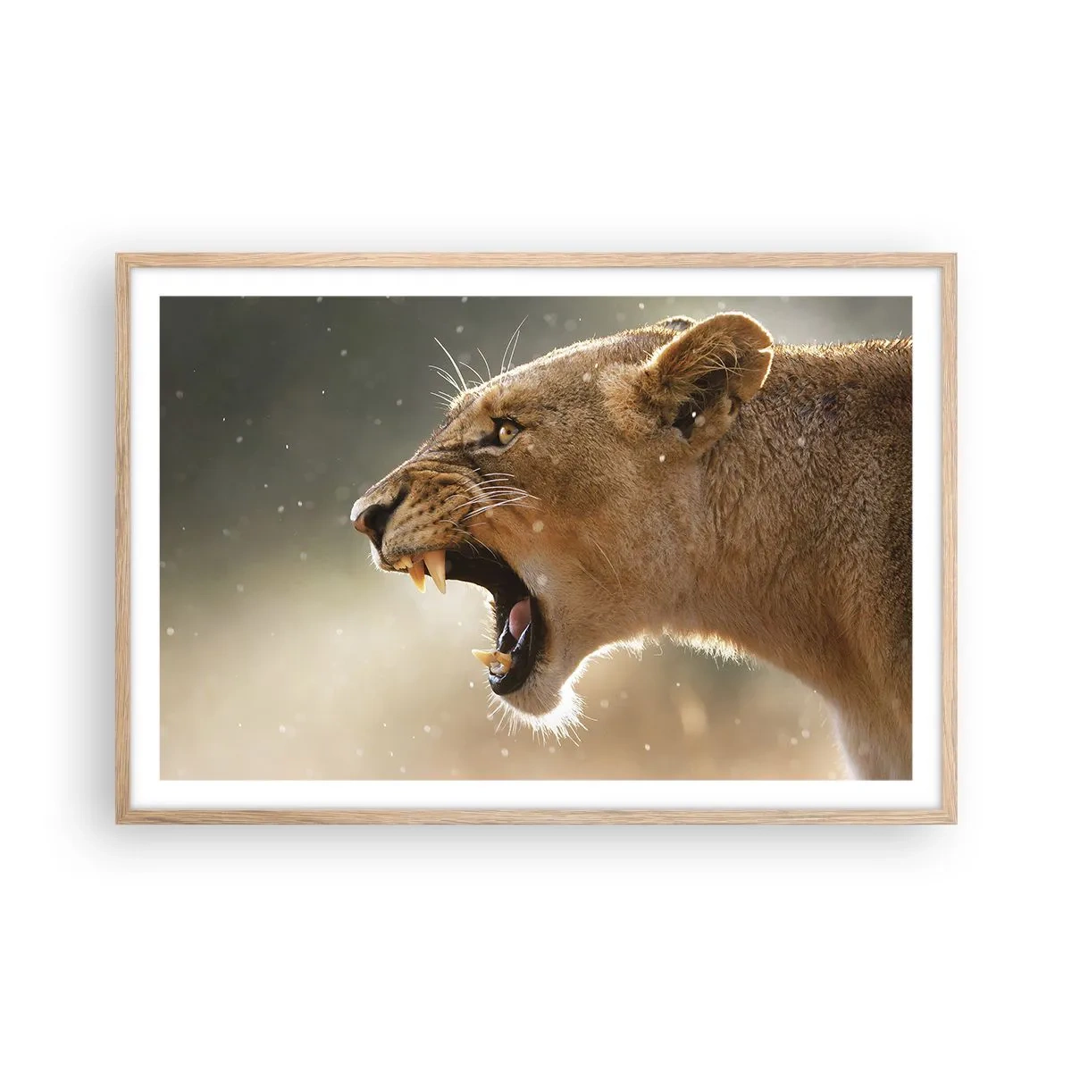 Poster în ramă de stejar deschis - Încearcă să nu asculți - 91x61 cm