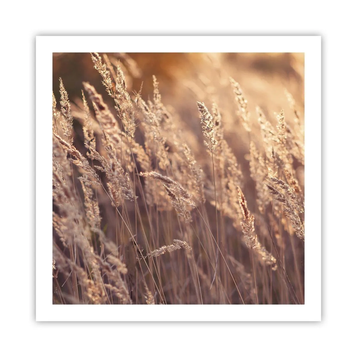 Poster - Gata să întâmpine toamna - 60x60 cm