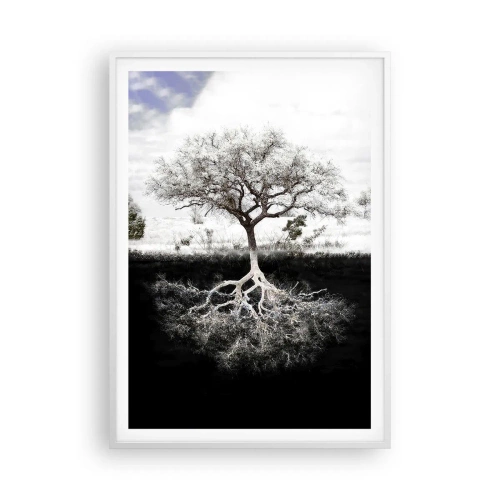 Poster în ramă albă - Descoperire - 70x100 cm