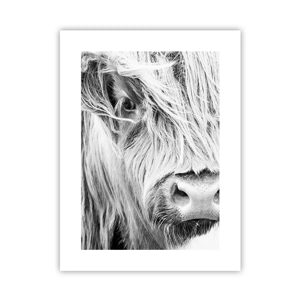 Poster - Sălbăticie scoțiană - 30x40 cm
