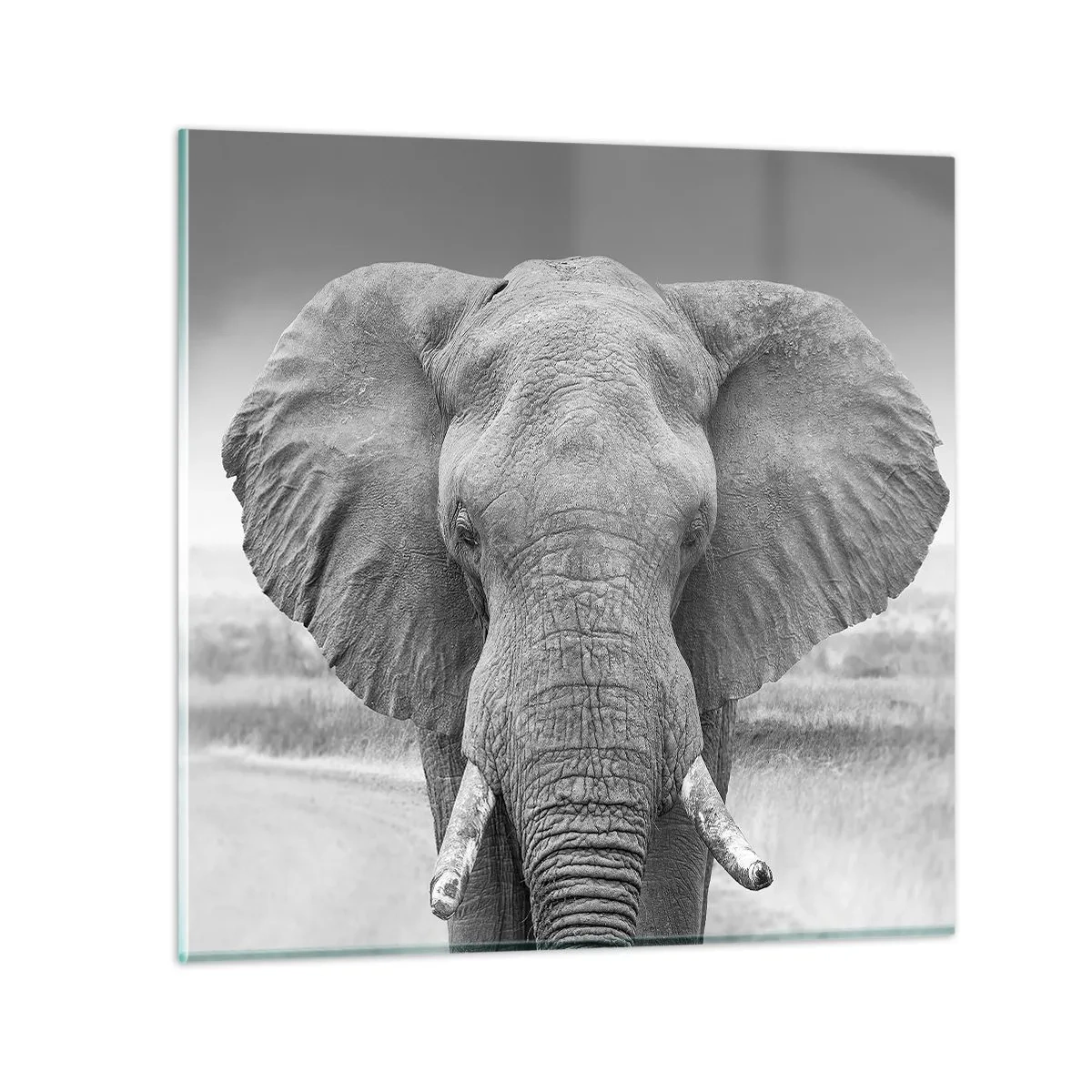 Tablou pe sticlă - Bun venit în lumea mea - 40x40 cm