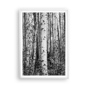 Poster în ramă albă - Coloane de mesteacăn - 70x100 cm