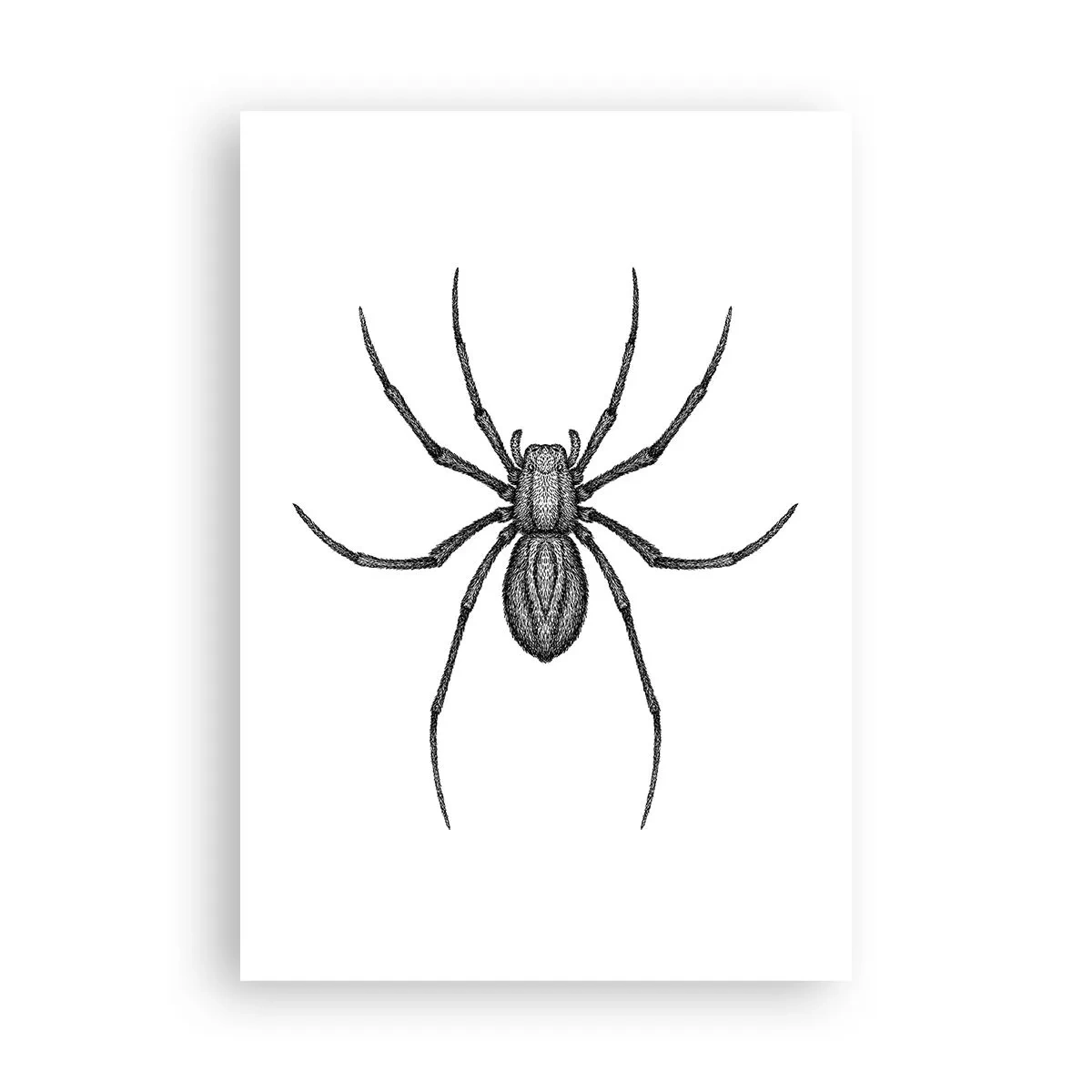 Poster - Precizie tulburătoare - 70x100 cm