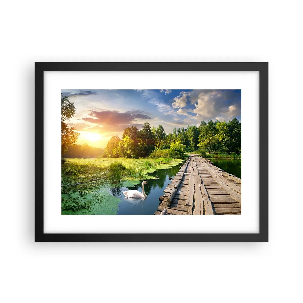 Poster în ramă neagră - Vară, vară peste tot - 40x30 cm