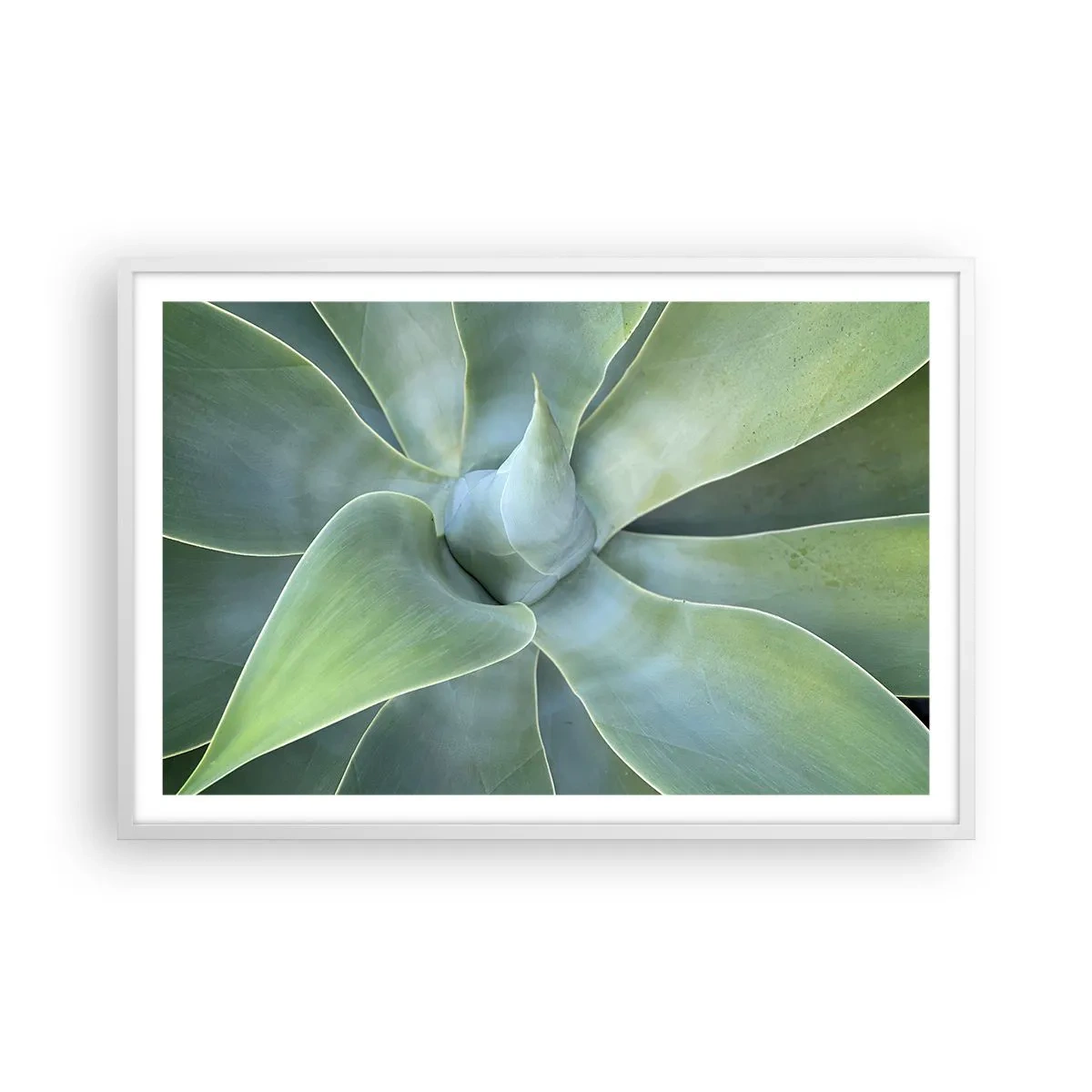 Poster în ramă albă - Nașterea verdeții - 91x61 cm