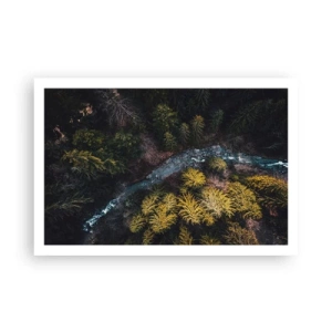 Poster - Rapid și mai rapid - 91x61 cm