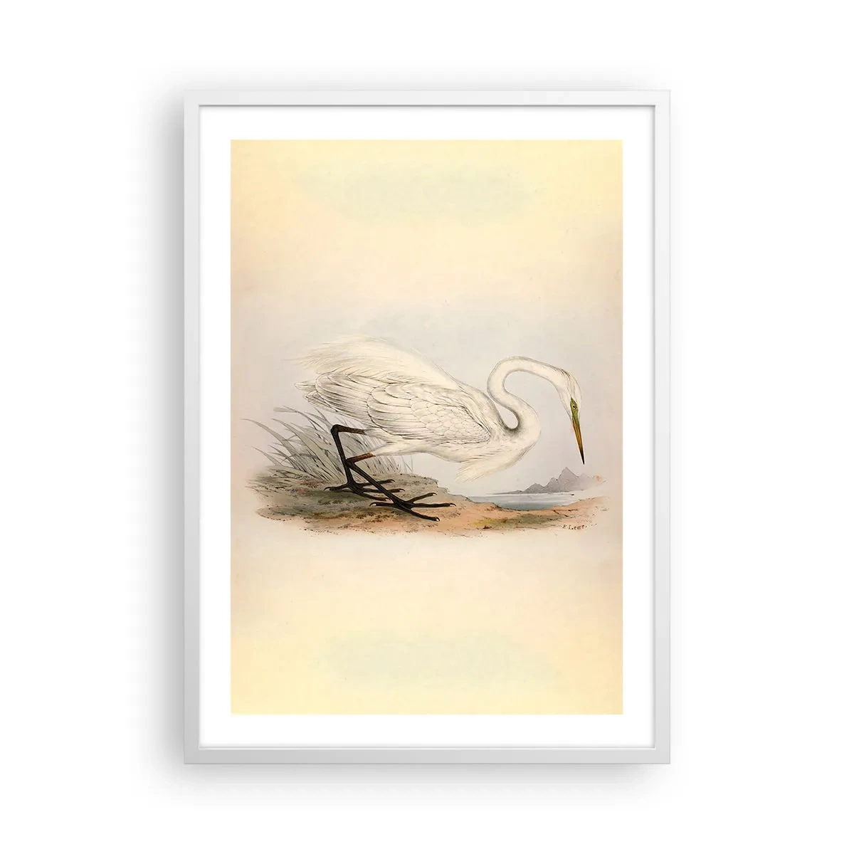 Poster în ramă albă - Doamna în stufărișuri - 50x70 cm