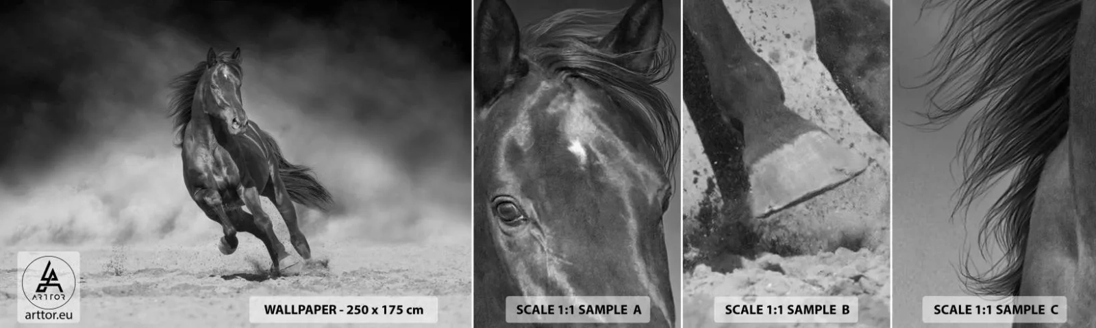 Mostră de Tapet Standard Eco - Dorința emirului - Cal, Animale, Natură - 100x30 cm
