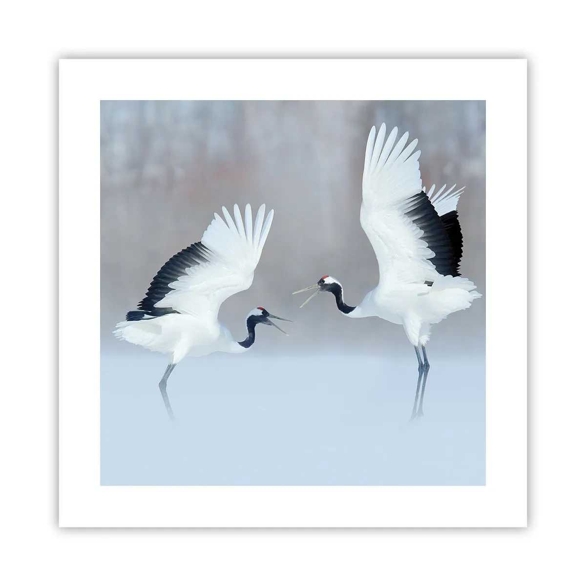 Poster - Dansând în ceață - 40x40 cm