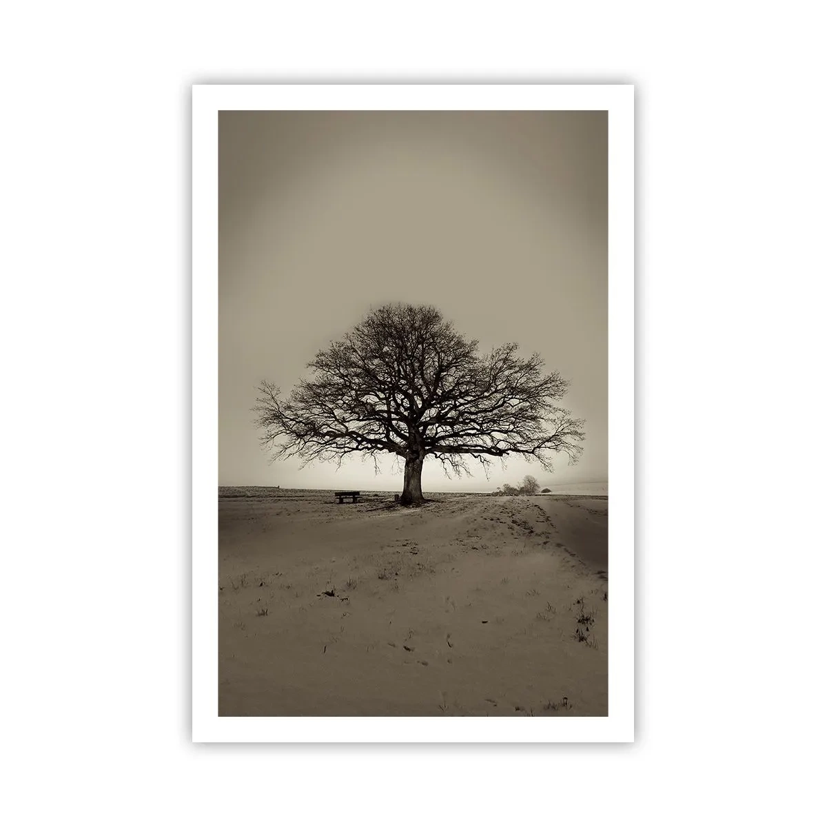 Poster - De aici până în veșnicie - 61x91 cm