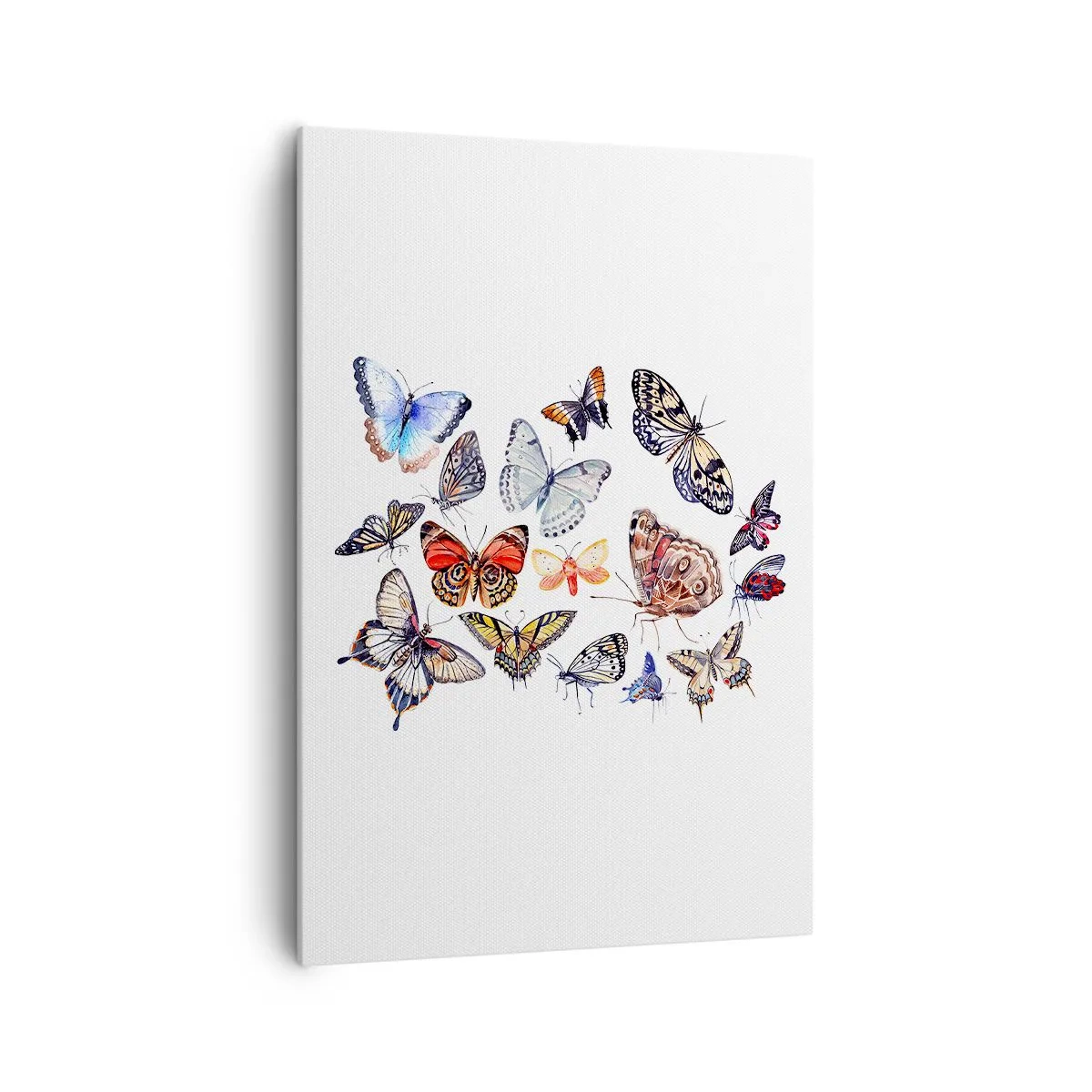 Tablou pe pânză - Un roi colorat de dantelă - 70x100 cm