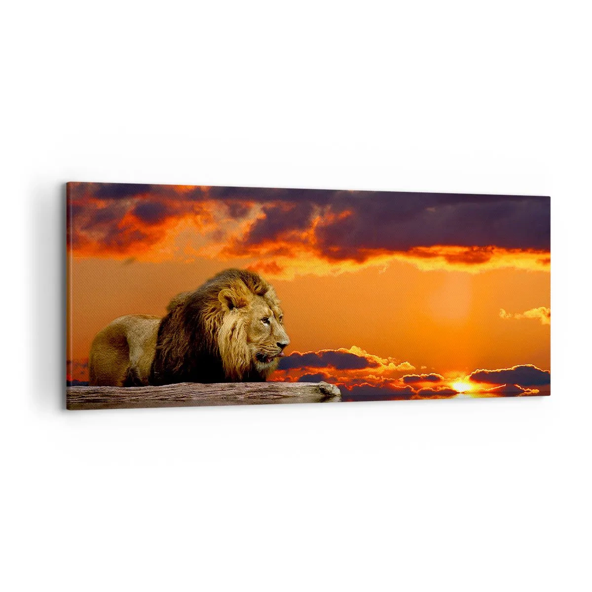 Tablou pe pânză - Regele naturii - 120x50 cm