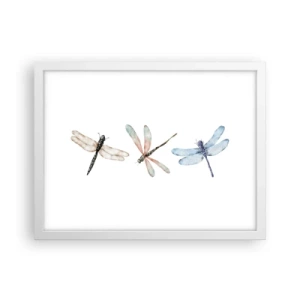 Poster în ramă albă - Libelule imponderabile - 40x30 cm