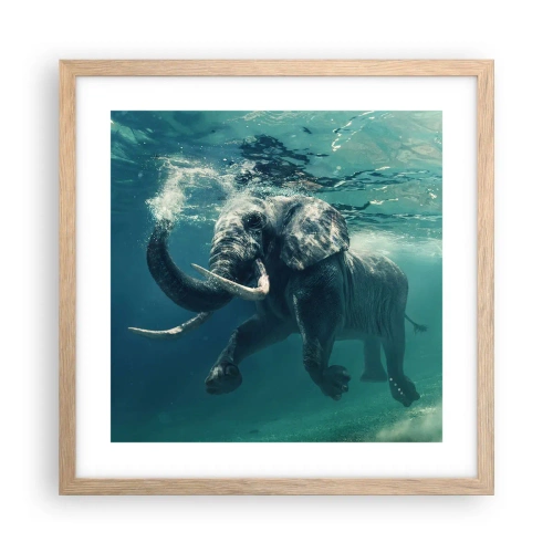 Poster în ramă de stejar deschis - Tuturor le place să înoate - 40x40 cm