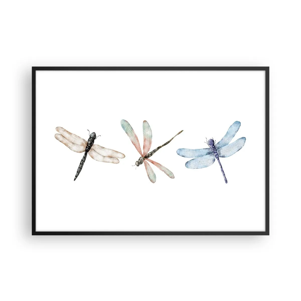 Poster în ramă neagră - Libelule imponderabile - 100x70 cm