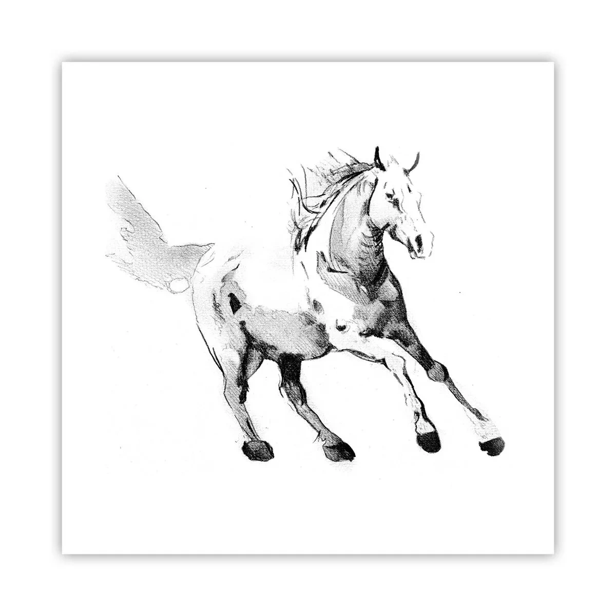 Poster - Suflet neîmblânzit - 40x40 cm