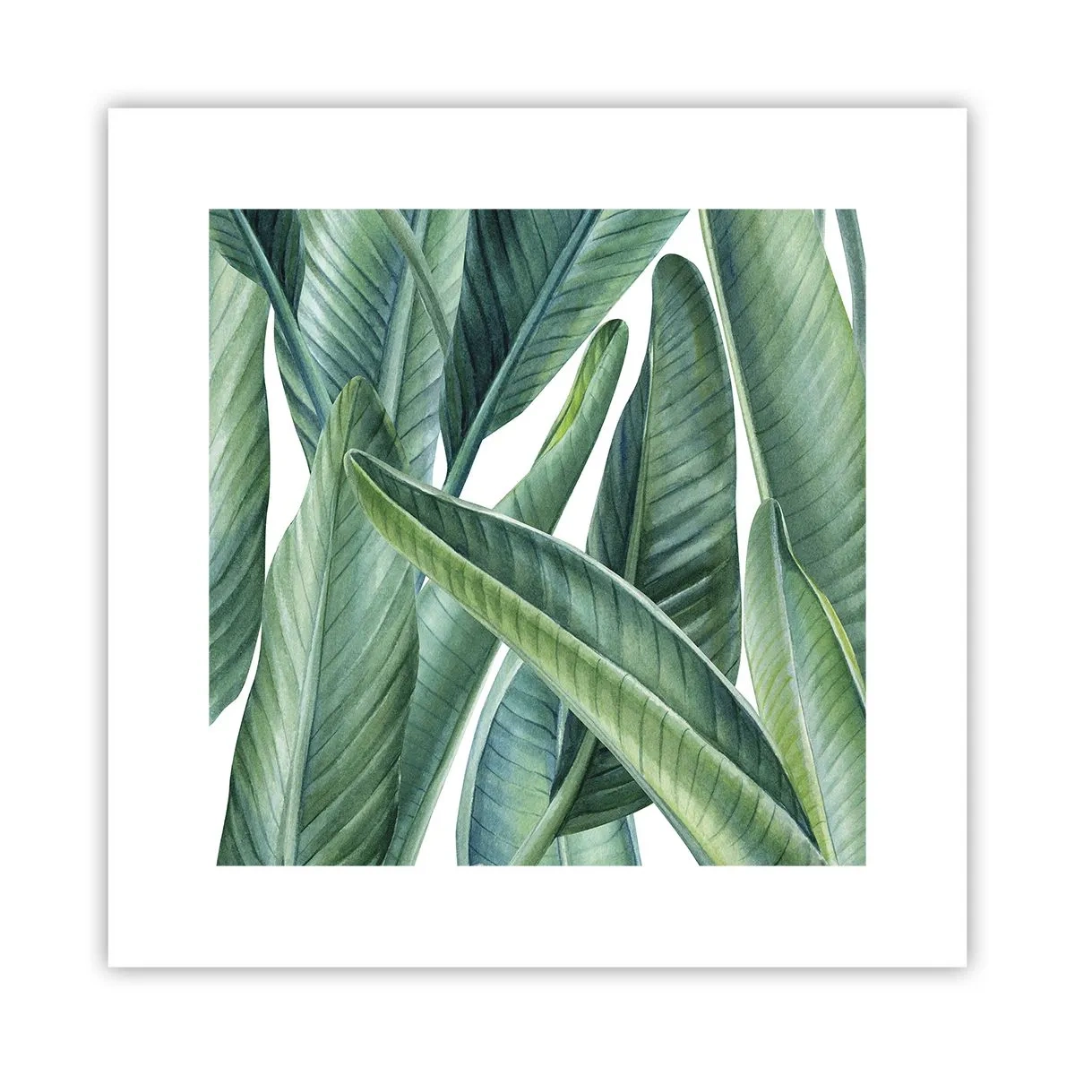 Poster - Verdeața în sine - 30x30 cm