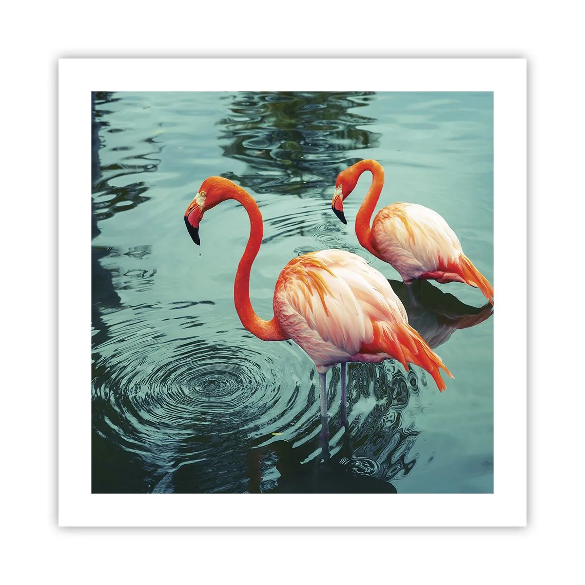 Poster - Suntem bune de revistele de modă - 50x50 cm