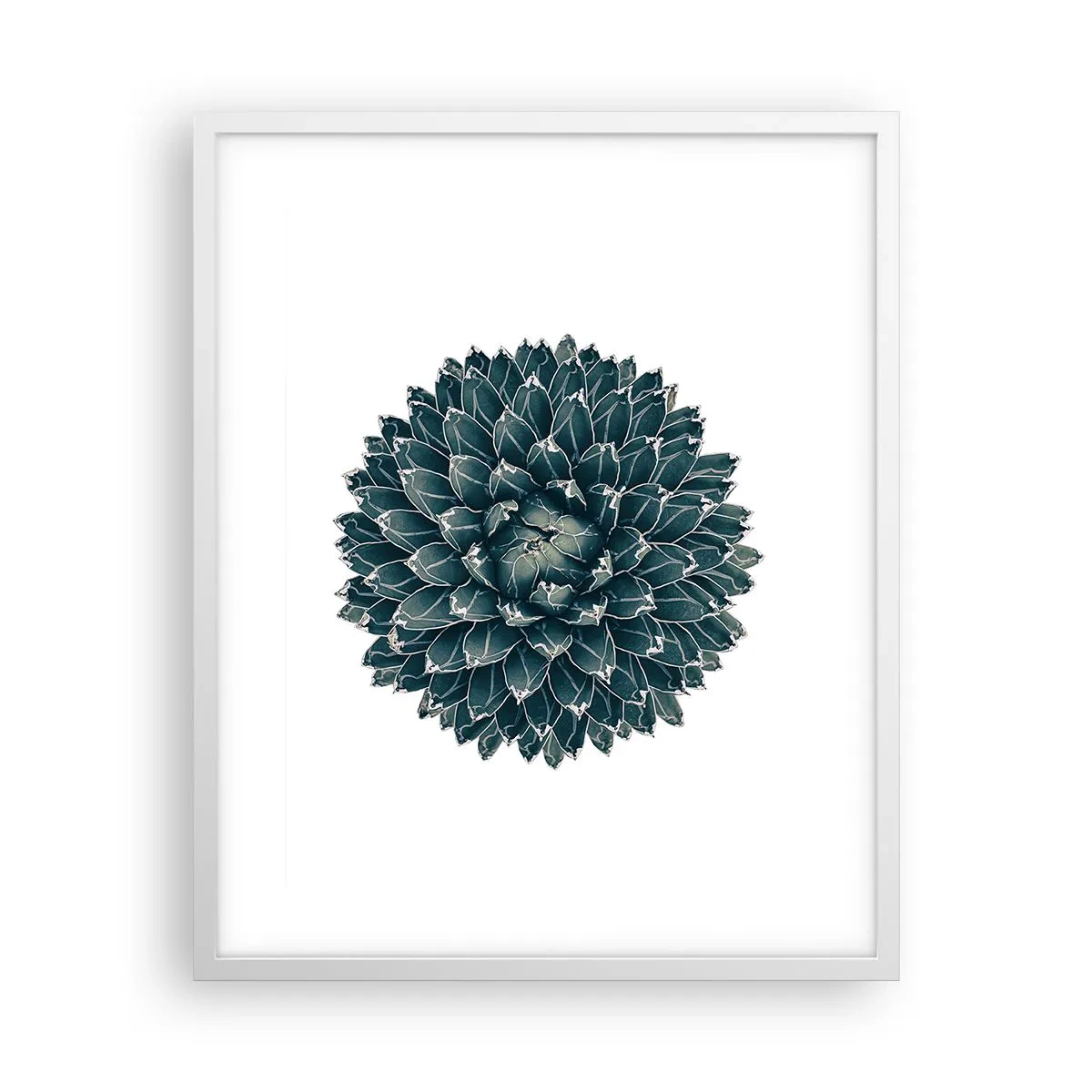 Poster în ramă albă - Steaua deșertului - 40x50 cm