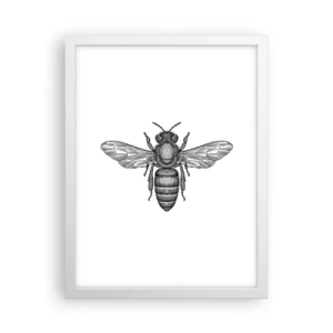 Poster în ramă albă - Portret de insectă - 30x40 cm