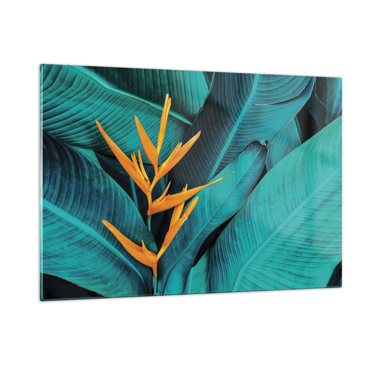 Tablou pe sticlă - Floarea Edenului - 120x80 cm