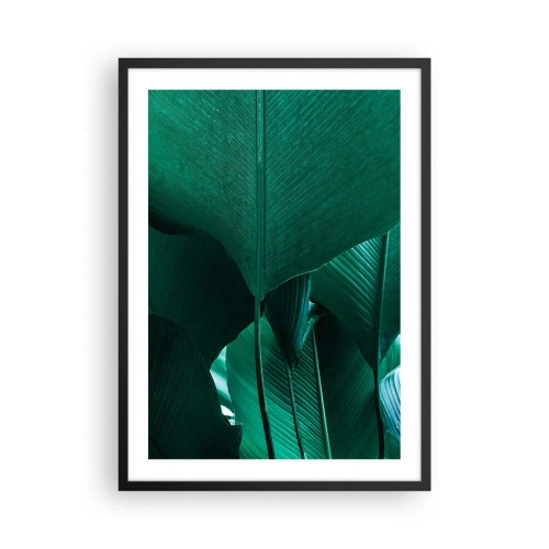 Poster în ramă neagră - Prim-plan al unor frunze verzi mari care prezintă structură și textură. - 50x70cm - Cu frunza la lumină - Decorațiune modernă pentru perete pentru living și dormitor ARTTOR