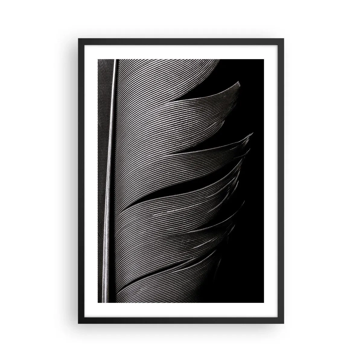 Poster în ramă neagră - O abordare minimalistă a unei pene în alb și negru - 50x70cm - Pana - o construcție minunată - Decorațiune modernă pentru perete pentru living și dormitor ARTTOR
