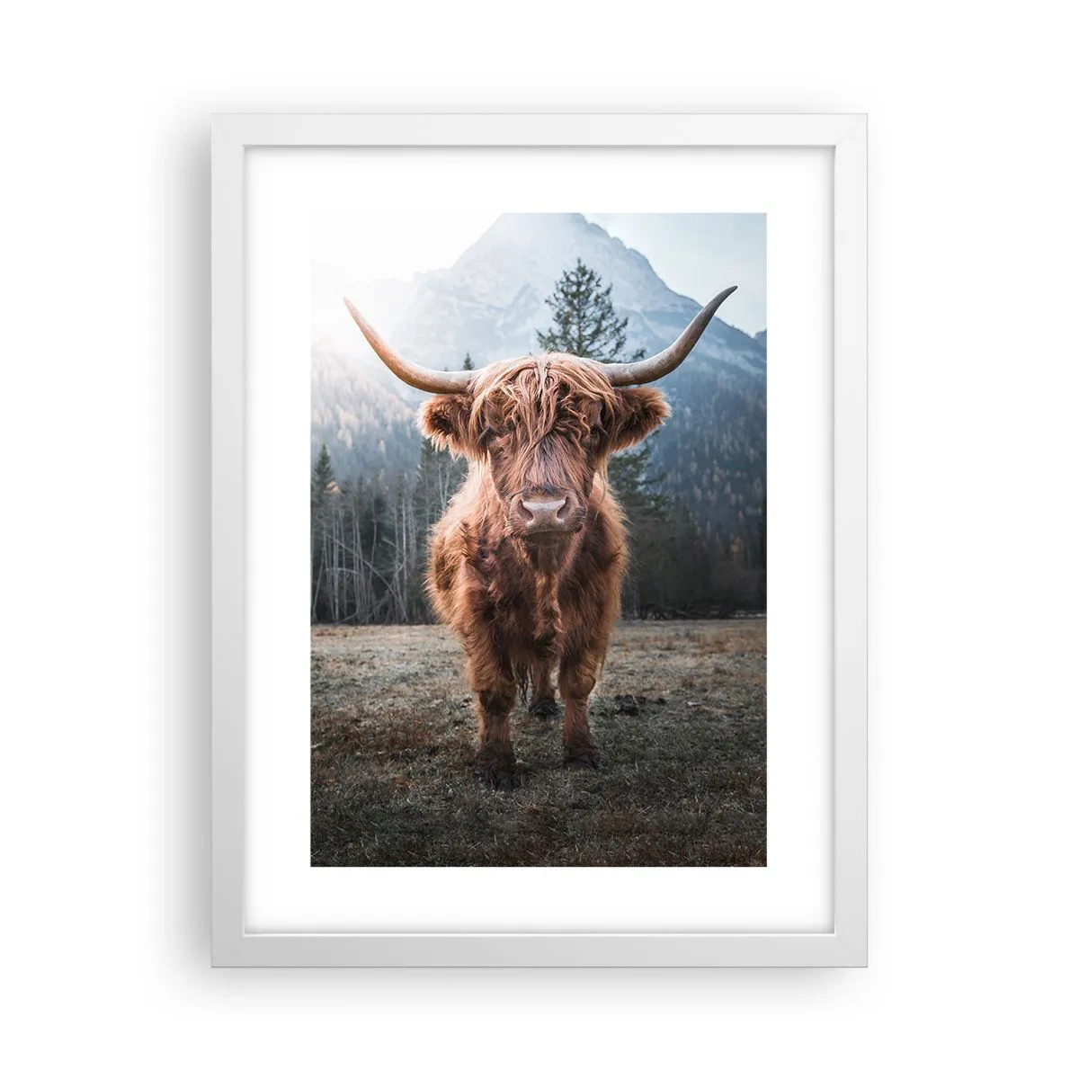 Poster în ramă albă - Salutări de pe o pajiște de munte - 30x40 cm