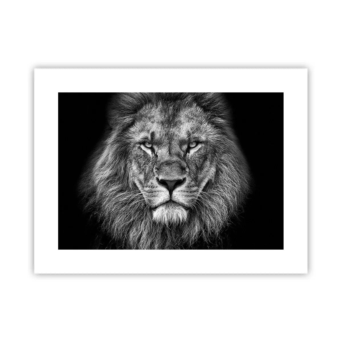Poster - În ținuta de încoronare - 40x30 cm