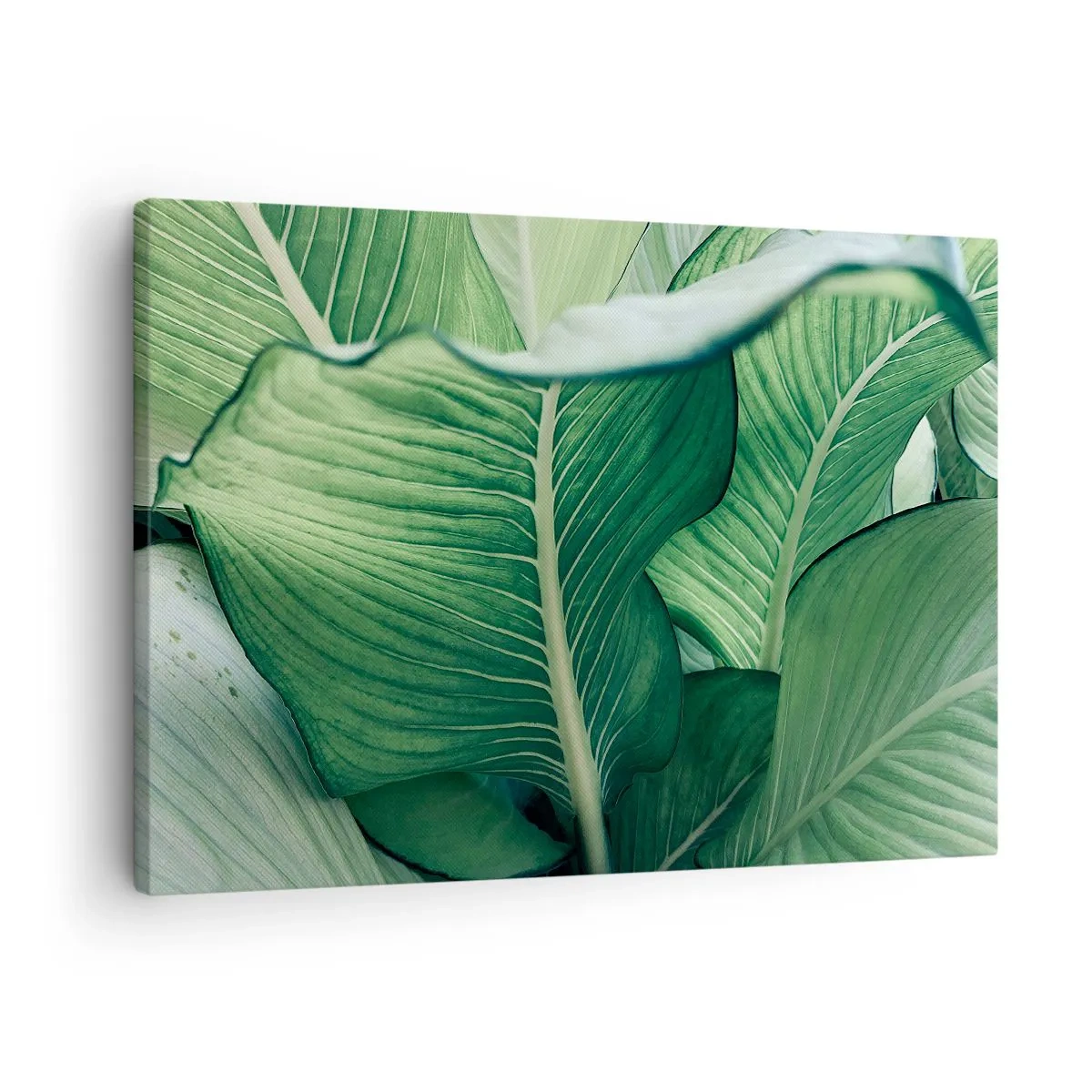 Tablou pe pânză - Viață intensă în verde - 70x50 cm